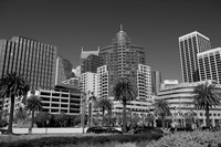 San_Francisco_005