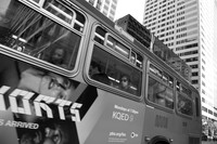 Muni Bus